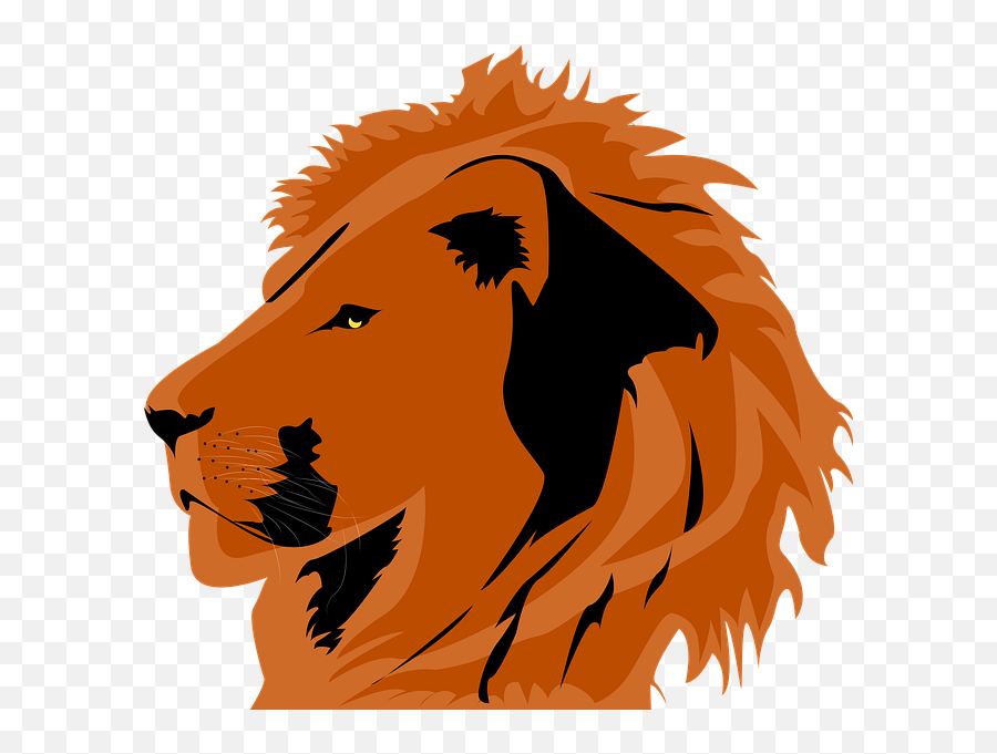 Head Lion Animal Lion Icon - Animal Icone Emoji,Real Lions Emotions