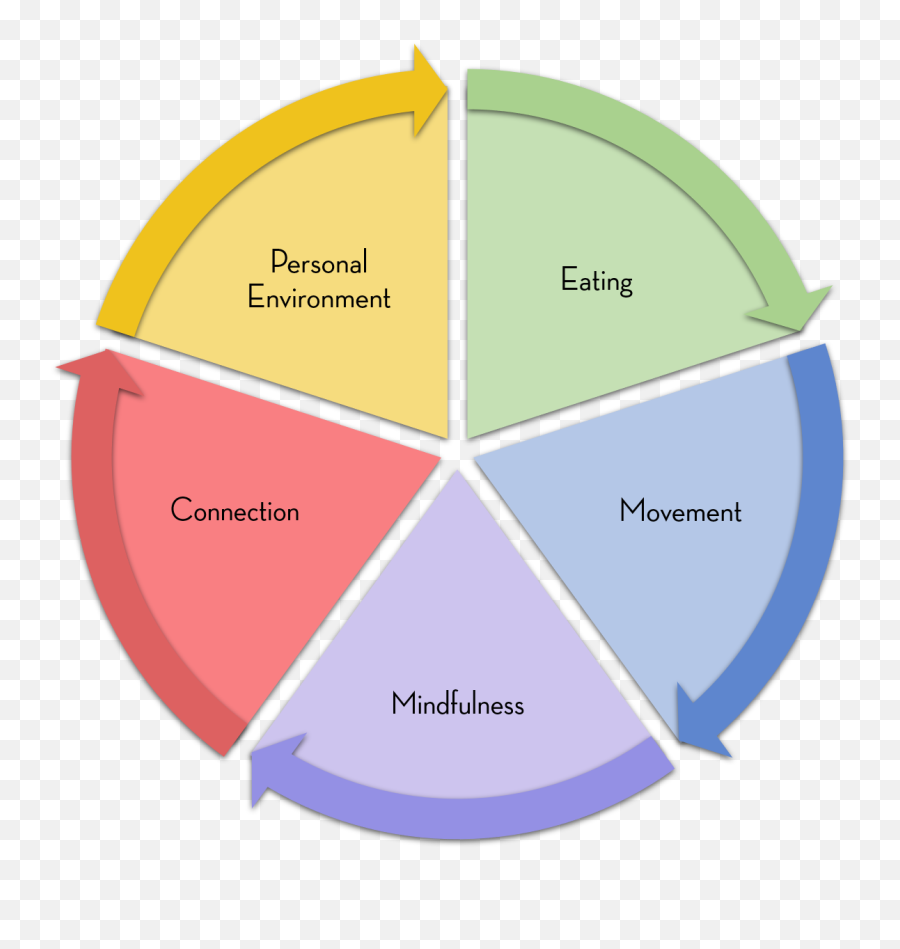 Circle Of Health - 4 Stages Of Clinical Evaluation Emoji,4 Elements And Emotions