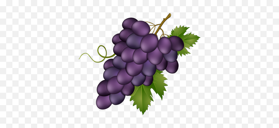 Fu0026f2 Words - Baamboozle Grapes Clip Art Transparent Emoji,Grape Emoji