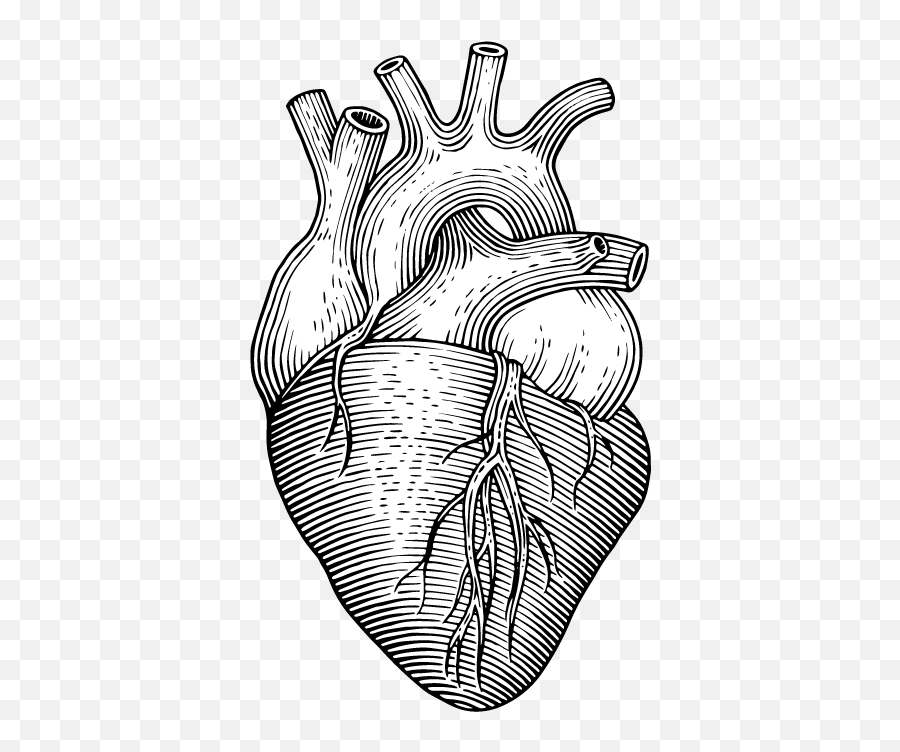 Courses Marcus Greatheart Md Msw - Heart Engraving Emoji,Caracter Coração Emotion