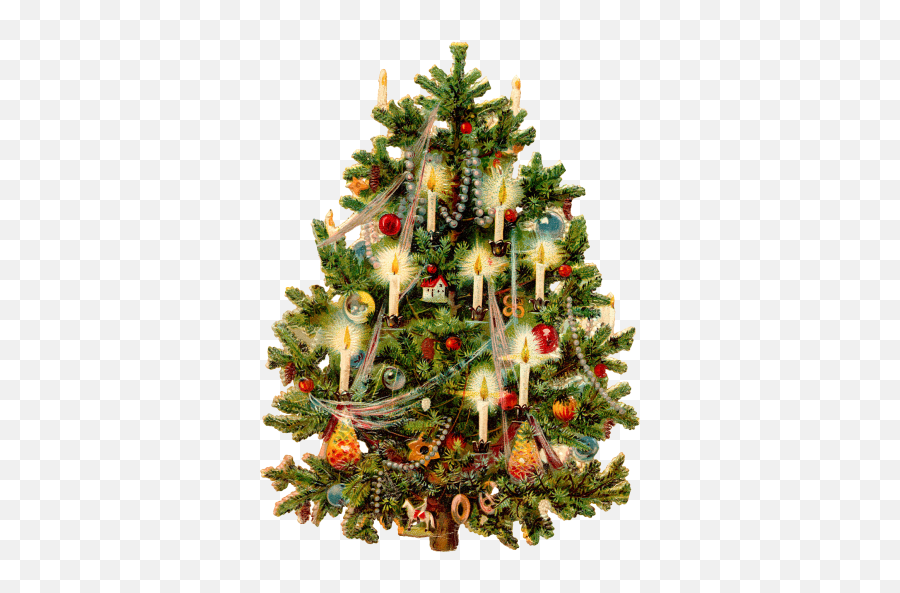 Download Christmas Tree Free Png Transparent Image And Clipart Emoji,Free Christmas Emoji -animated