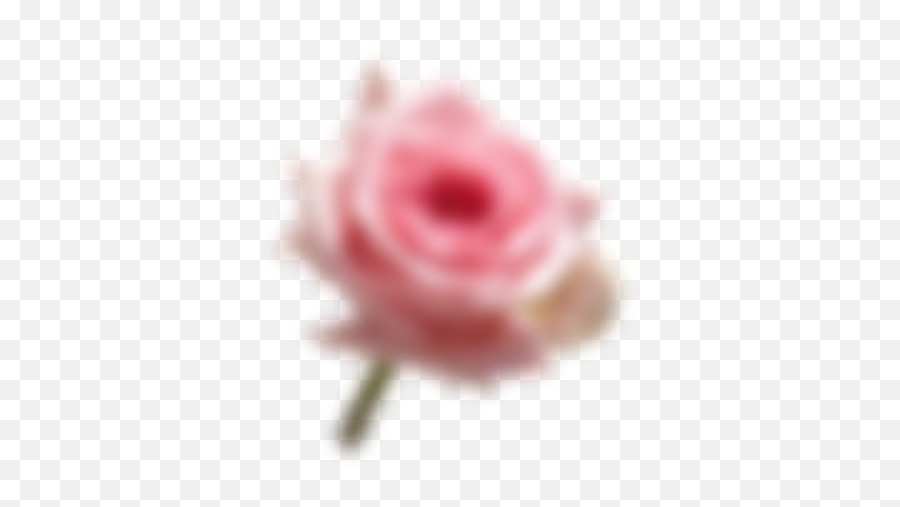 Maja Kinu2014actress Emoji,Pretty Rose Emoji