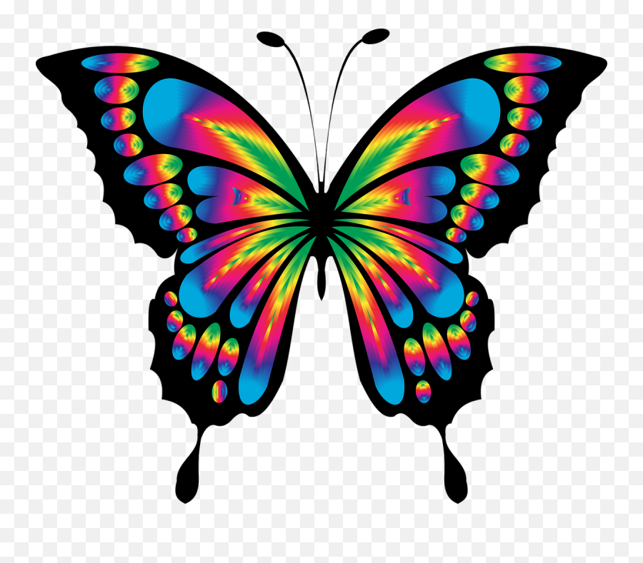 Free Photo Emoticons Smileys Emotions Butterfly Emoji - Max Colorful Butterfly,Butterfly Emoji Transparent