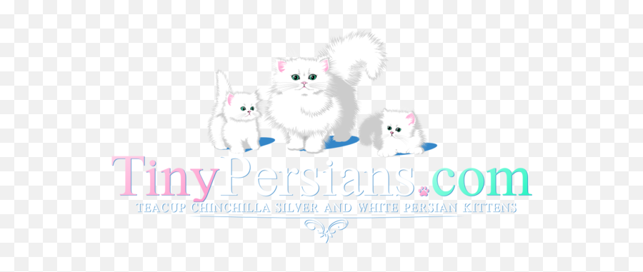 Teacup Persian Kittens For Sale In Texas Cfa Pet Silver - Soft Emoji,Coffee Cup And Poodle Emoji