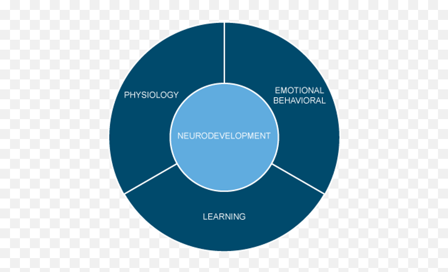 Interpersonal Whole - Brain Model Of Care Jacobu0027s Ladder Managed Services Emoji,Emotion Dysregulation Model