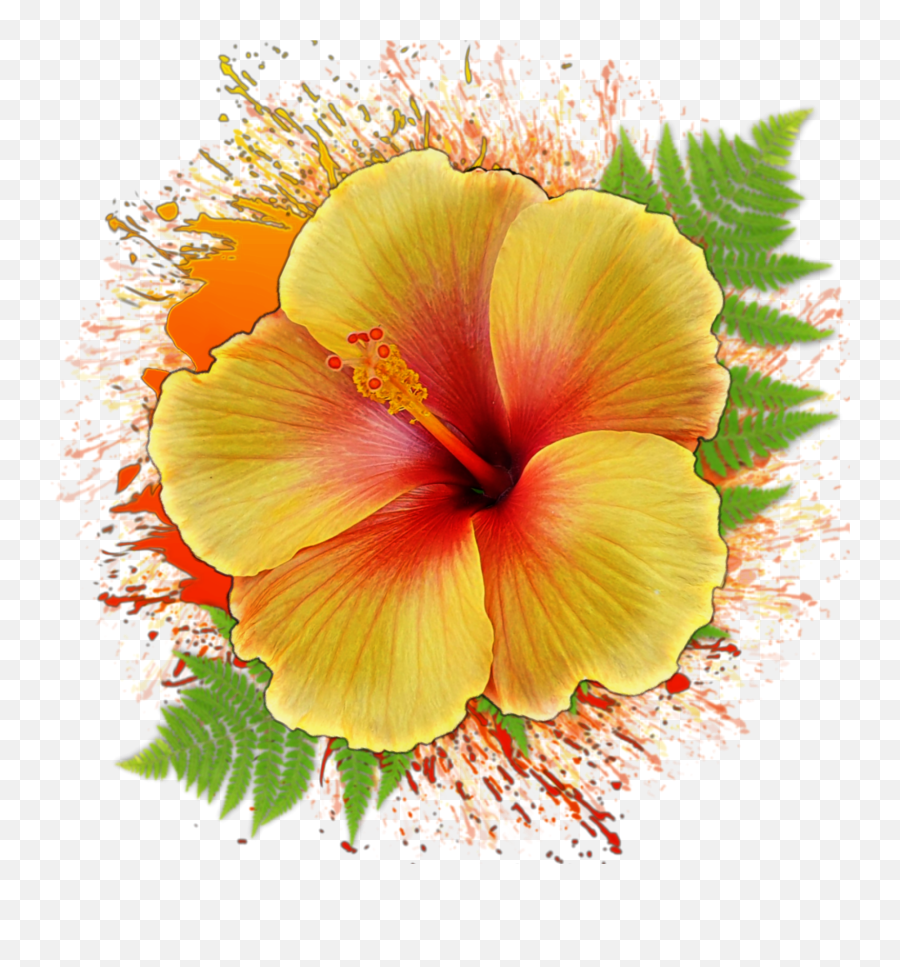 The Most Edited Emoji,Hawaiian Flower Emoticon