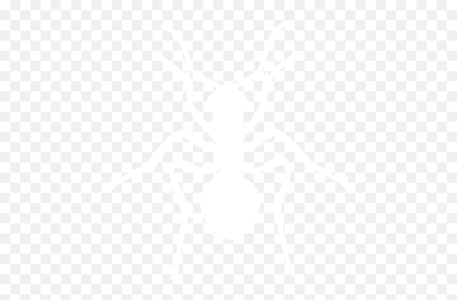 White Ant Icon - Ant Black And White Icon Emoji,Emoticon Of An Ant