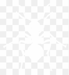 White Ant Icon - Ant Black And White Icon Emoji,Emoticon Of An Ant