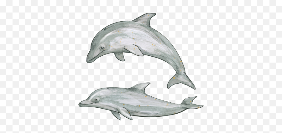 Download Dolphin Free Png Transparent Image And Clipart Emoji,Black Dolphin Emoticon