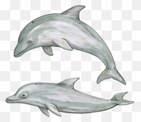 Download Dolphin Free Png Transparent Image And Clipart Emoji,Black Dolphin Emoticon