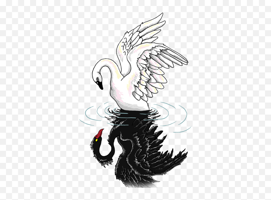 Glitter And Gladrags Black Swan Emoji,Lilium True Emotion