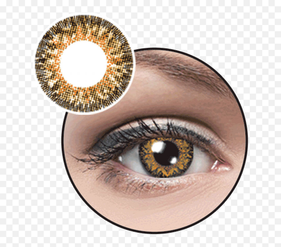 Optiano Contact Lenses - Pure Hazel Dark Grey Color Lenses Emoji,Emotions Perfume Price In Pakistan