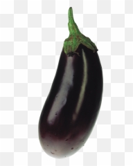 Eggplant Png Images Free Download - Transparent Background Eggplant Png Emoji,What Does An Eggplant Emoji Mean