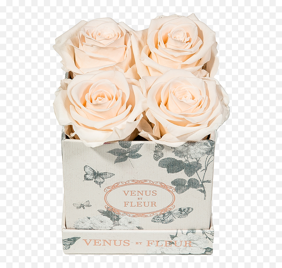 Le Petite Floral Eternity Rose - Best Fleur Venus Emoji,Deep Emotions Roses