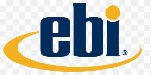Employment Background Investigations - Employment Background Investigations Logo Emoji,Center For Emotion And Behavior Integration (cebi)