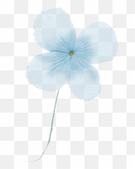Law Of Attraction - Phlox Emoji,4 Leave Clover By The Emotions