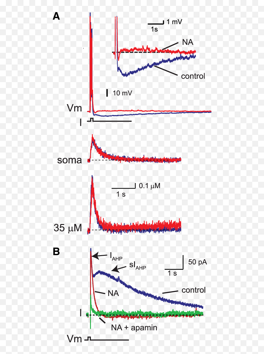 Noradrenaline Suppresses The Sahp - Plot Emoji,Emotion Single Channel Pipette