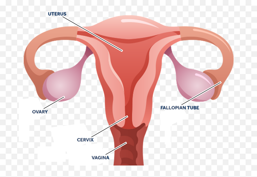 Hysterectomy - Cervical Cancer Emoji,After A Hysterectomy Will My Emotions Be Goofy