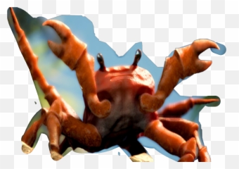 Crabrave Freetoedit Sticker - Animal Figure Emoji,Crab Rave Emoji