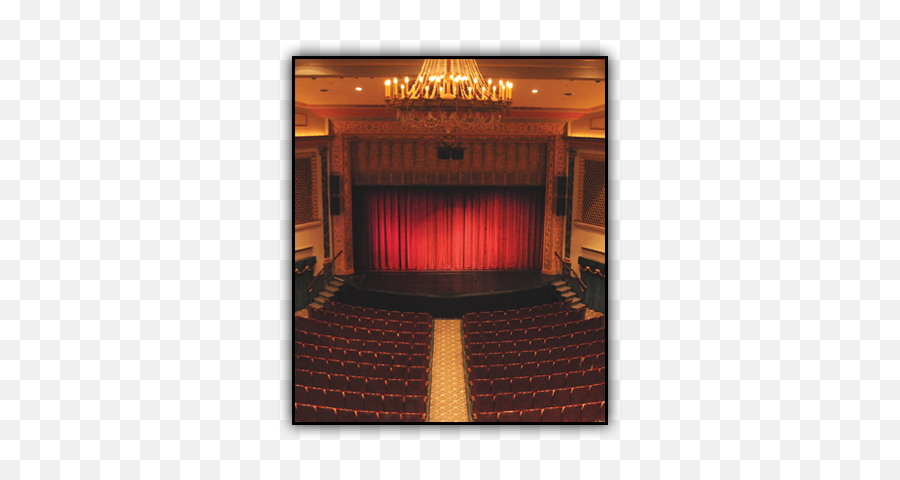 Phil Schaap Jazz Lives Emoji,Chili Peppers Devotion Emotion Refraction