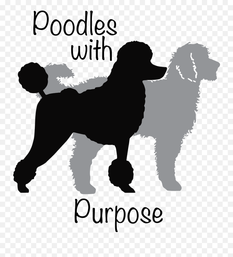 Poodles With Purpose U2013 Oregon Bordoodles Emoji,Puppy Dog Eyes Emoji