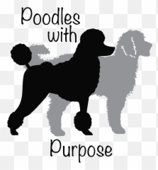 Poodles With Purpose U2013 Oregon Bordoodles Emoji,Puppy Dog Eyes Emoji