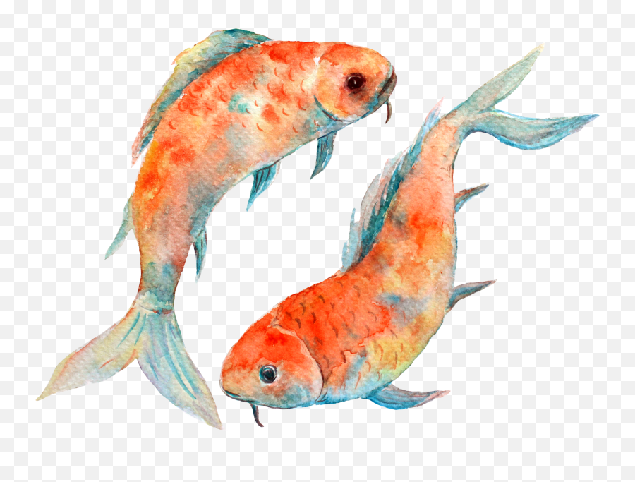 New Moon In Pisces Insights U0026 Practice U2014 A Brighter Wild - Pisces Png Emoji,Pisces Emotions