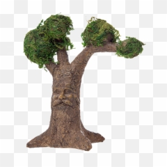 Wise Old Tree Emoji,Mandala Expressive Arts Wise Mind Emotion