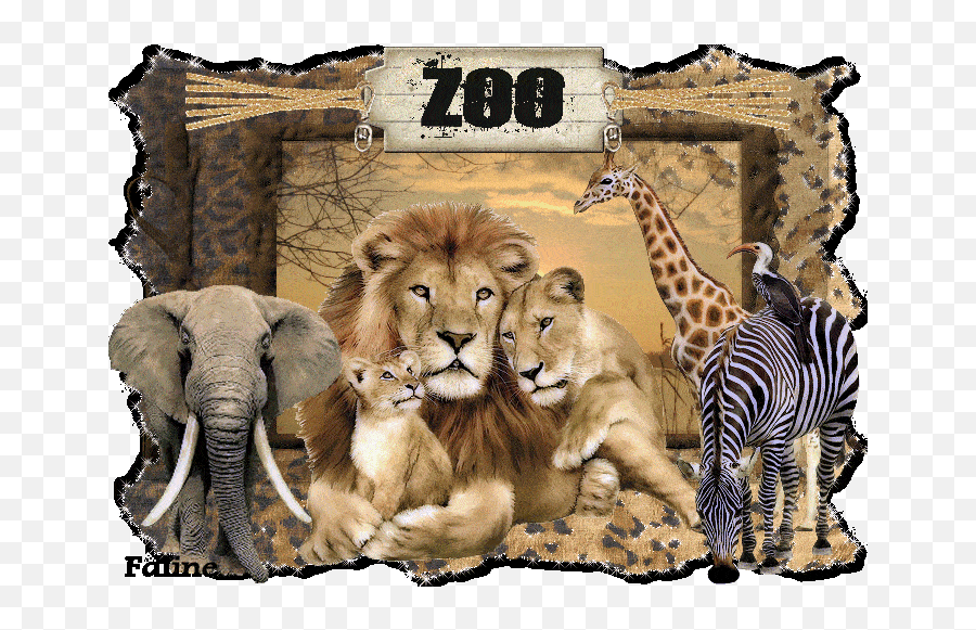 Gif Lingua - Lion Family In Jungle Emoji,Levels Of Emotion In Zoo Animals