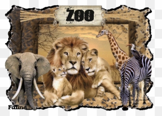 Gif Lingua - Lion Family In Jungle Emoji,Levels Of Emotion In Zoo Animals