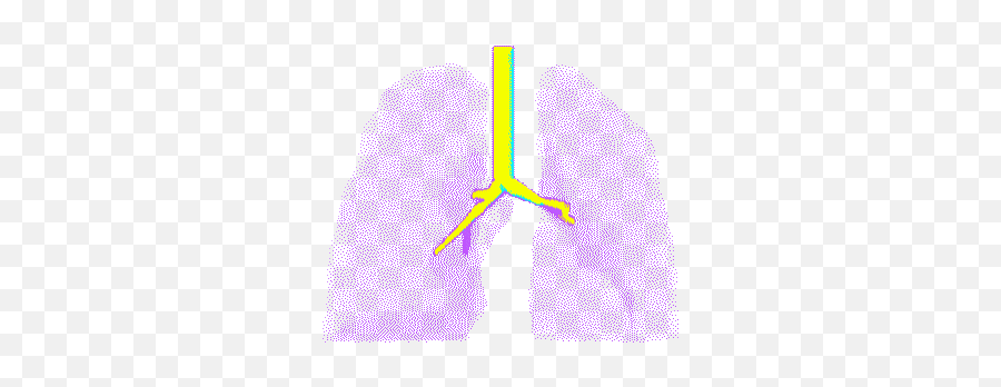 Top 3 D Medical Animation Stickers For Android U0026 Ios Gfycat - Lungs Gif Transparent Background Emoji,Lung Emoji