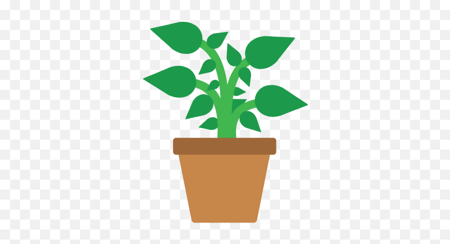 Flat Flower Plant Tub - Plant Flat Png Emoji,Plant Emoji Transparent