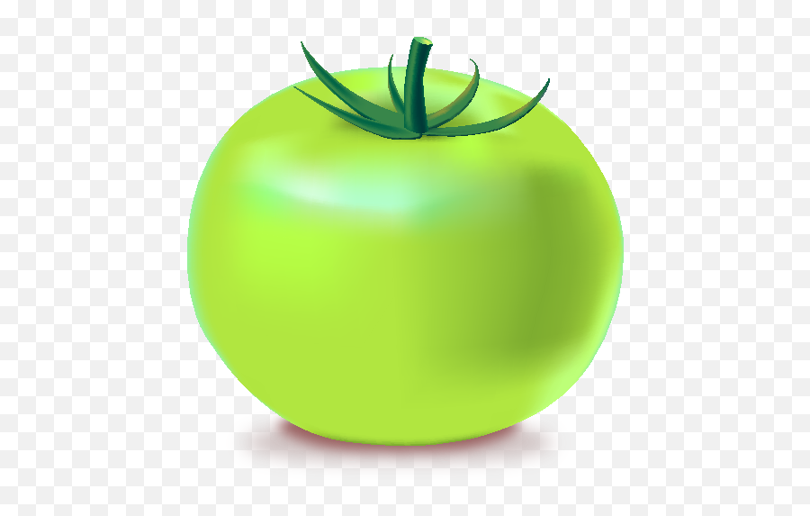 Download Green Tomatoes Clipart - Green Tomato Icon Png Png Emoji,Tomatoe Emoji