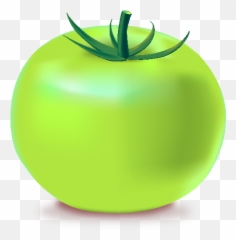 Download Green Tomatoes Clipart - Green Tomato Icon Png Png Emoji,Tomatoe Emoji