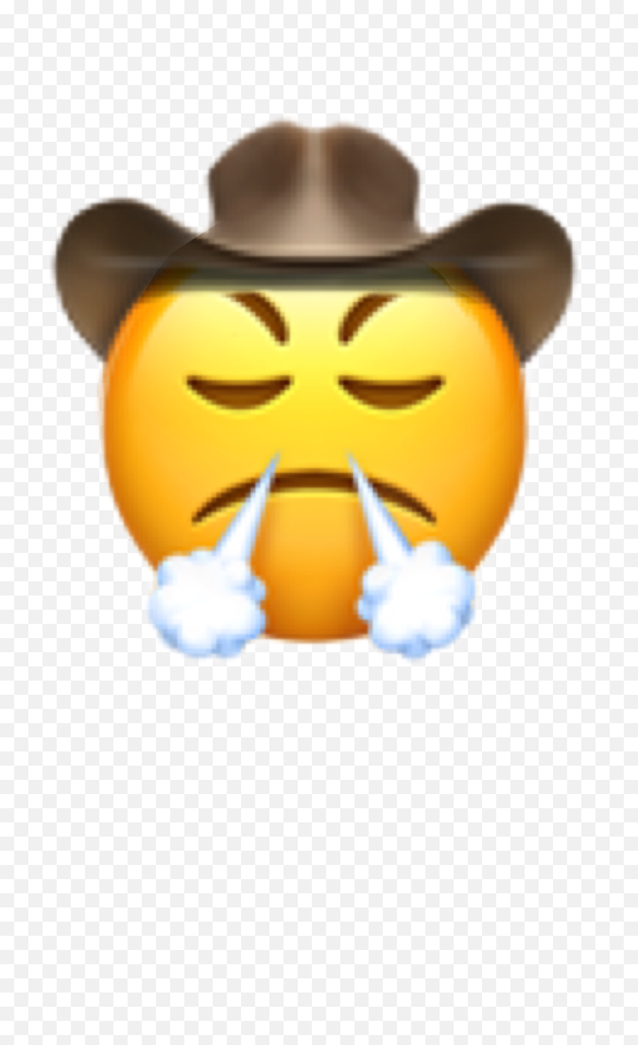 Cowboy Cowboyemoji Yeehaw Sticker - Iphone Angry Emoji Face,Frustrated Emoji