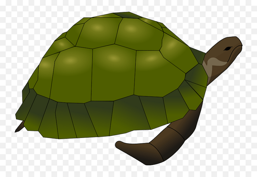 Turtle Clipart - Turtle Cartoon Pdf Emoji,Turtle Shell Emoji