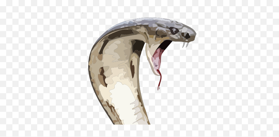 Gtsport - Cobra Snake Emoji,Emoji Ball Python