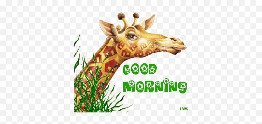 Good Morning Gif Animation - Animated Gif Good Morning Stiker Emoji,Jabber Animated Emoticons