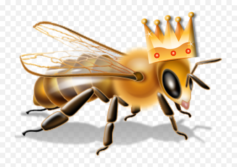 Transparent Bee Transparent Png - Queen Bee Transparent Free Secret Life Of Bees Characterization Emoji,Bee Emojis Apple Vector
