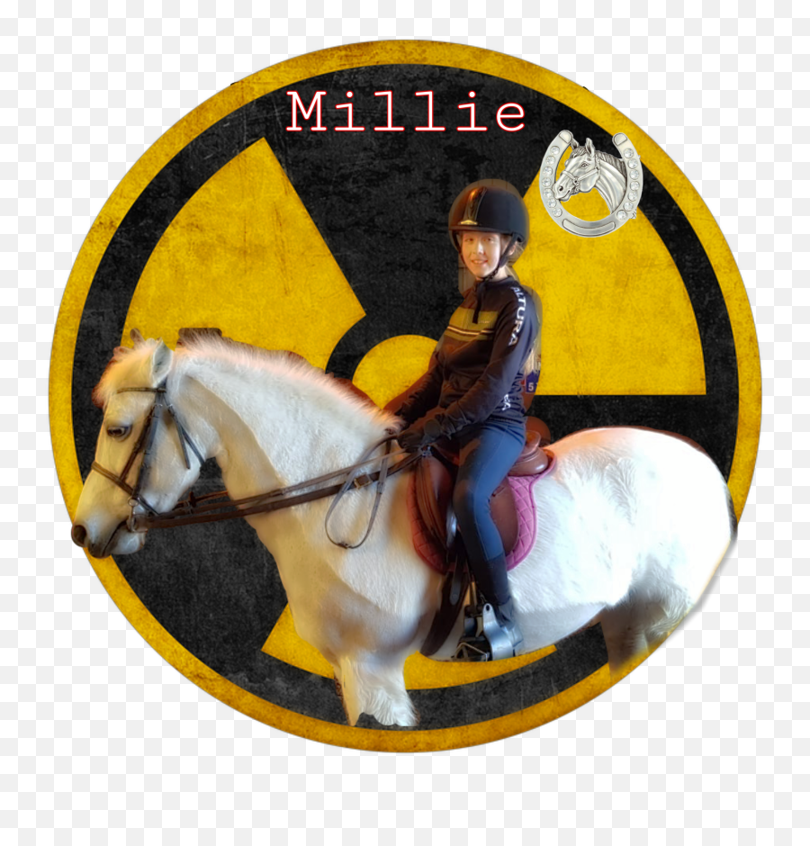 Edit Horse Millie Rider Sticker Emoji,Riding Crop Emoji