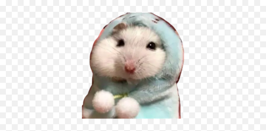 Hamster By You - Sticker Maker For Whatsapp Emoji,Rat Faces Emojis
