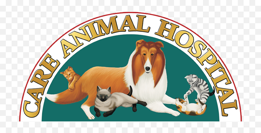 Veterinarian Near Me In 47304 Care Animal Hospital Emoji,Aesthetic Animal Emojis