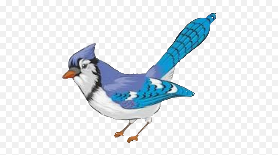 Popular And Trending Bluejay Stickers Picsart - Blue Jay Emoji,Blue Jay Emoji