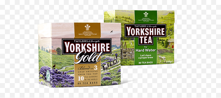 The Teamoji Has Landed Yorkshire Tea - Yorkshire Gold Tea Bag Emoji,Teapot Emoji