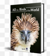 All The Birds Of The World Emoji,Flip Th Ebird Emoticon