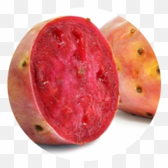 Lime Cactus Light Beer - Prickly Pears Emoji,Prickly Pear Emoticon Meaning