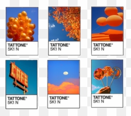 Largest Collection Of Free - Toedit Orangeandblue Stickers Vertical Emoji,Denver Broncos Emoji Keyboard