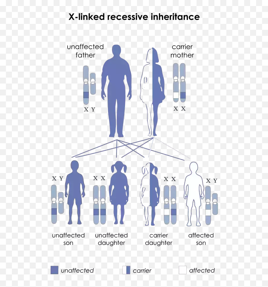 Is It True That There Is A Pair Of Images That Can Cause - Sex Linked Color Blindness Emoji,Emotions Colors Provoke