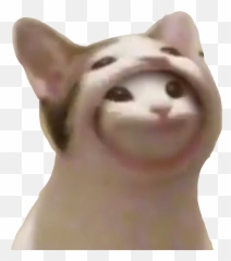 The Most Edited - Pop Cat Discord Pfp Emoji,Cat Meme 100 Emoji