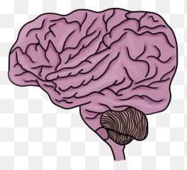 Brain Body Part Organ Emoji,Brain Part And Emotion